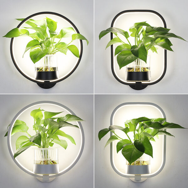 Zaina Decorative wall lamp - Image 8