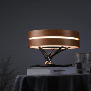 Zaina Round Intelligent Speaker