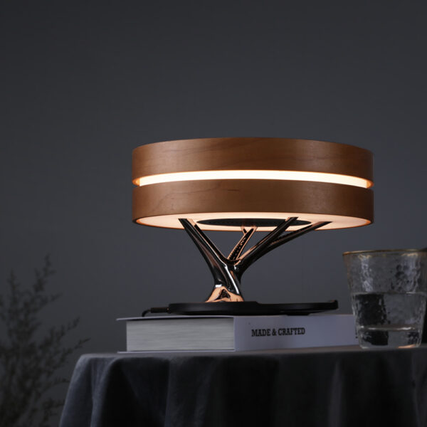 Zaina Round Intelligent Speaker