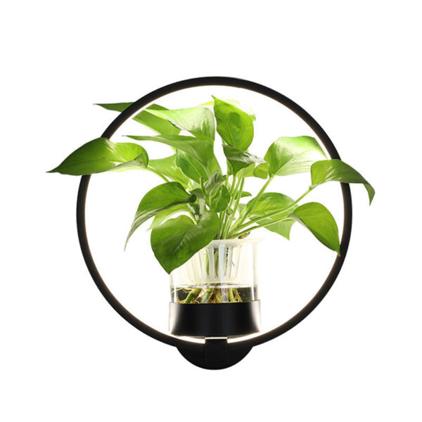 Zaina Decorative wall lamp - Image 7