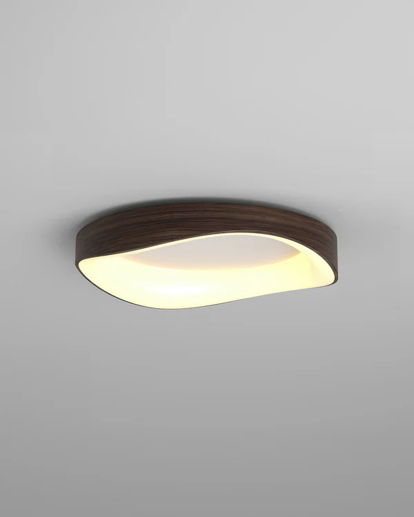 Ceiling Lights